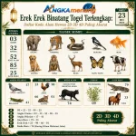 angkamenang.org