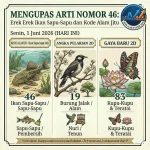 angkamenang.org