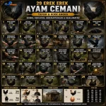 angkamenang.org